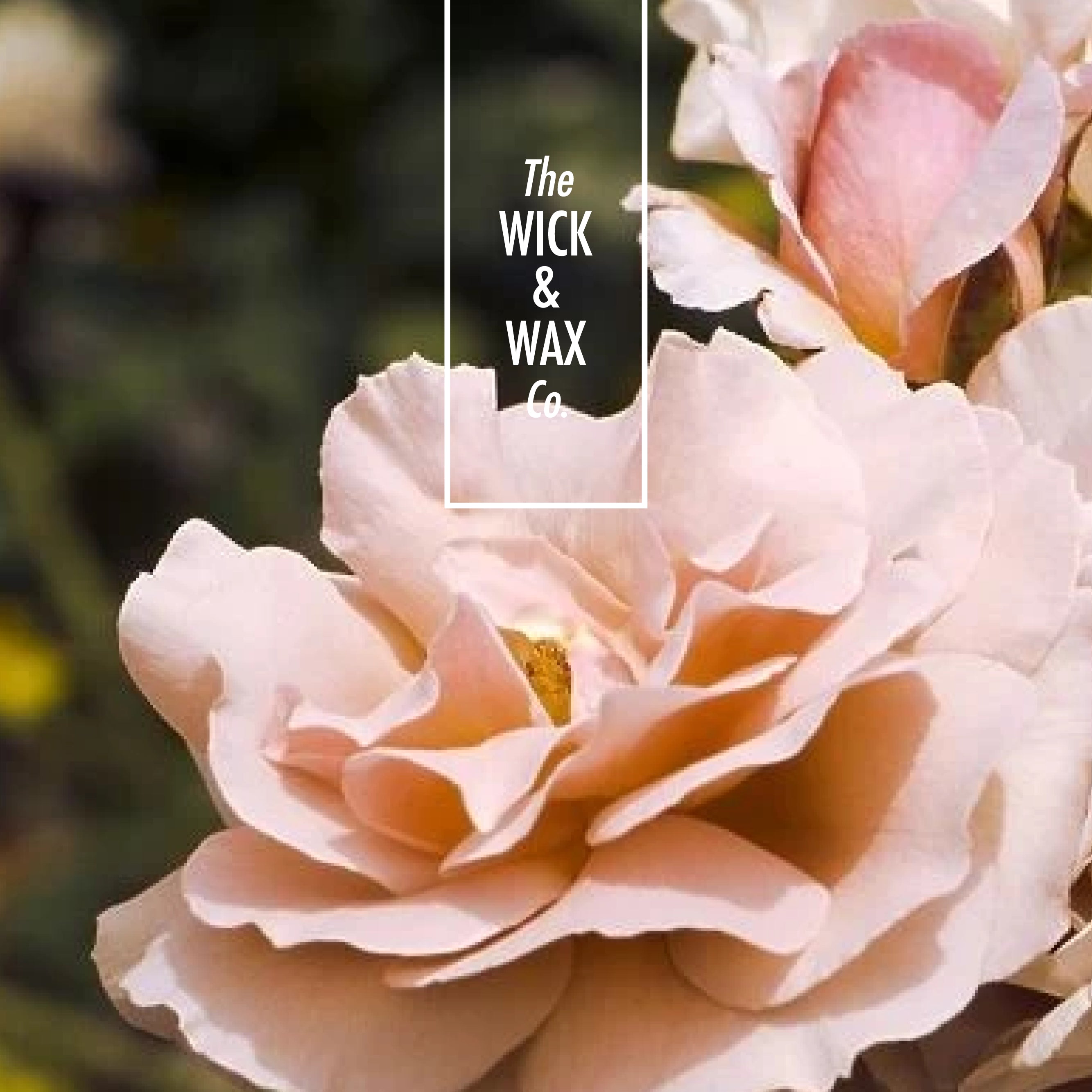 Spiced Rose - Scented Reed Diffuser (Plant-based)