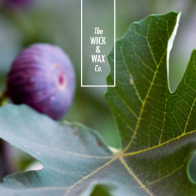 Orchard Rain - Scented Hand & Body Wash