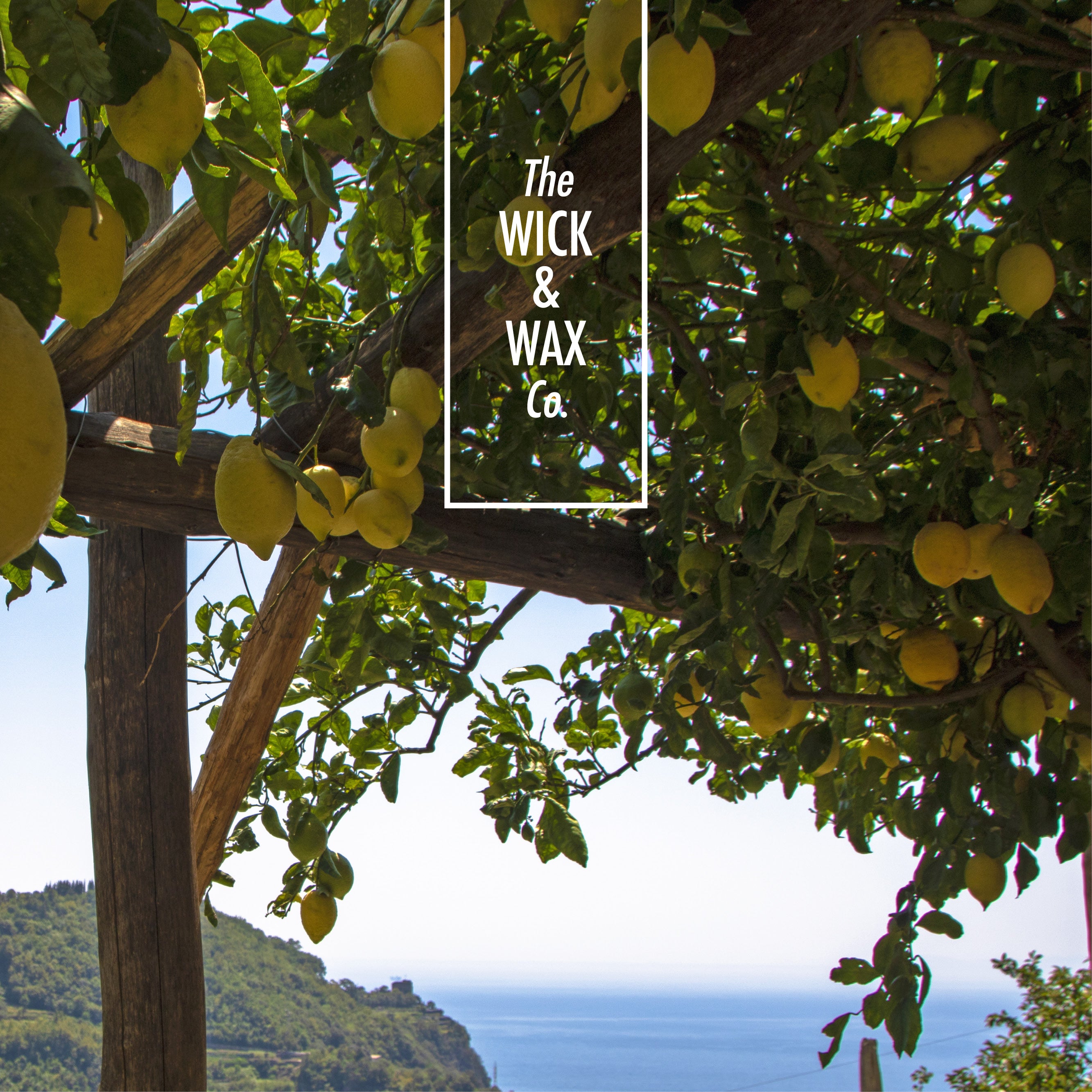 Path Of The Lemons - Scented Reed Diffuser (Plant-based)